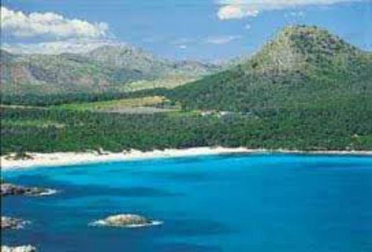 Appartement Mare Nostrum *