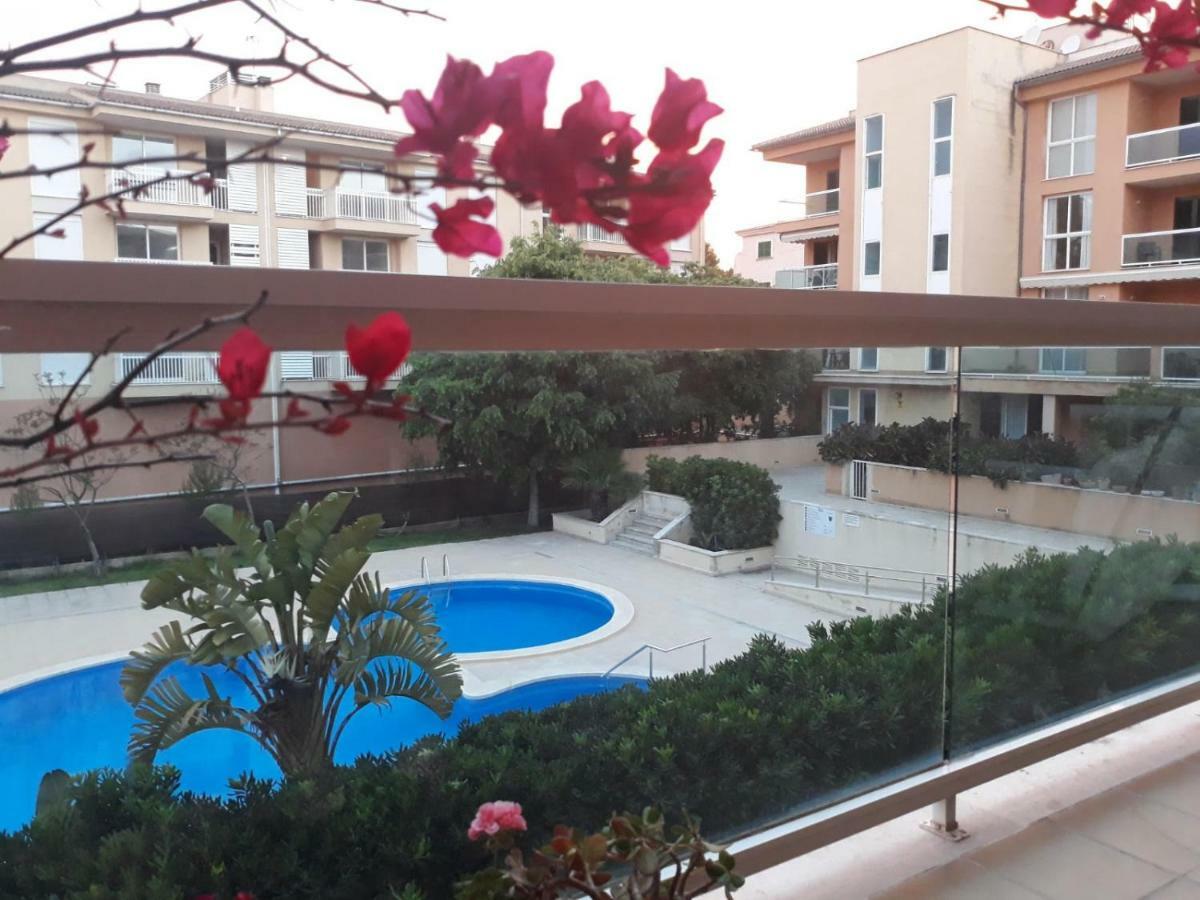 Mare Nostrum Apartment